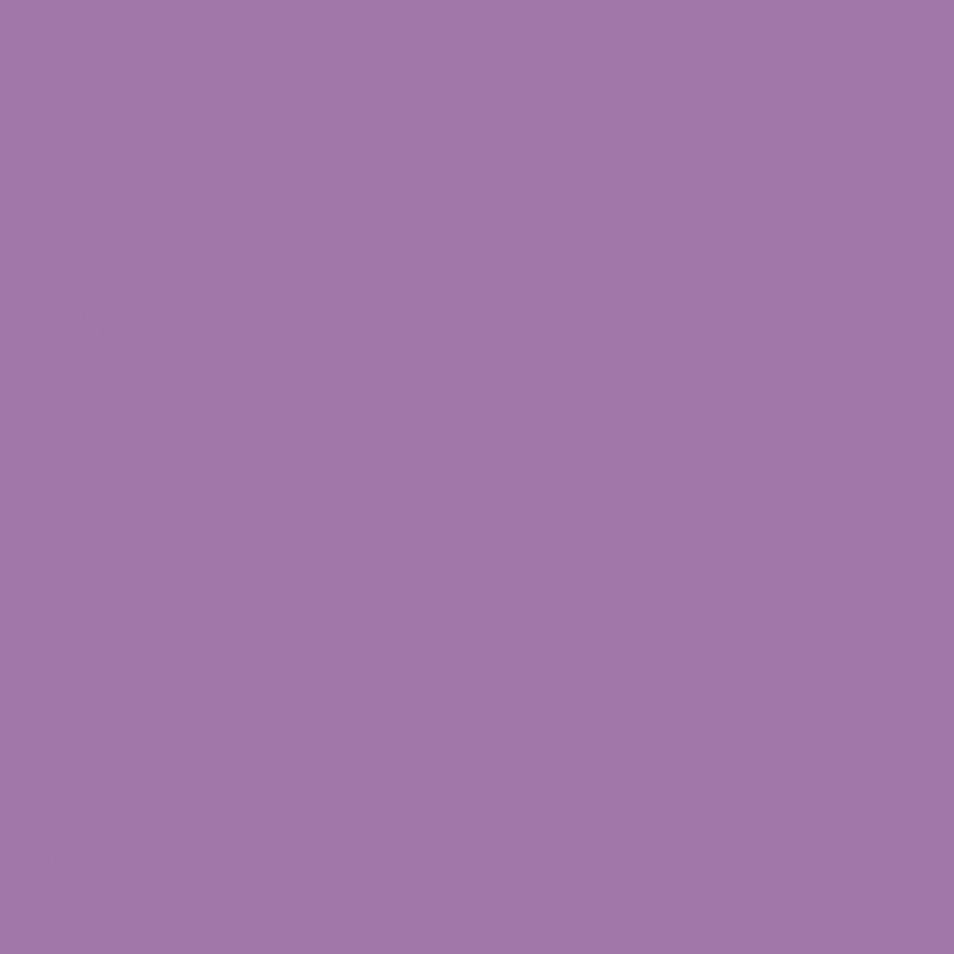 Confetti Cotton™ Violet Fabric by Riley Blake Designs C120-VIOLET