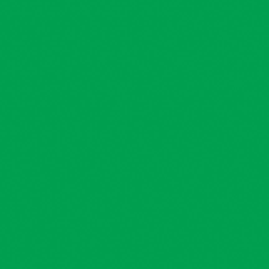 Confetti Cotton™ Emerald City Fabric by Riley Blake Designs C120-EMERALDCITY
