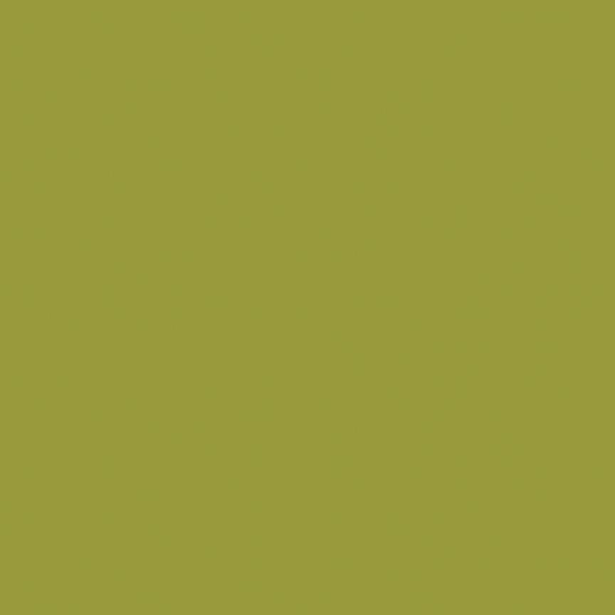 Confetti Cotton™ Moss Fabric by Riley Blake Designs C120-MOSS