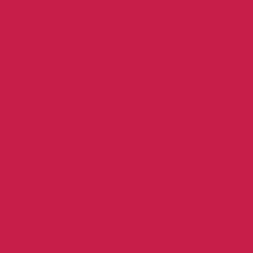 Confetti Cotton™ Jazzberry Fabric by Riley Blake Designs C120-JAZZBERRY