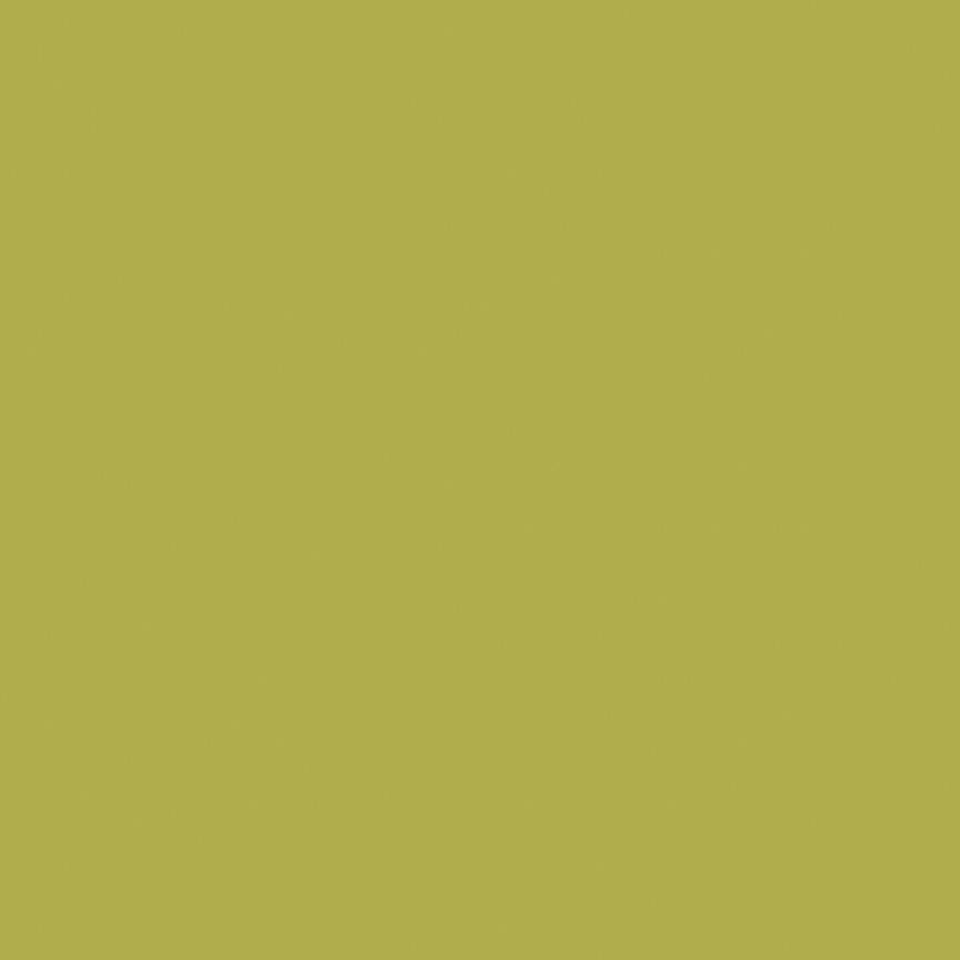 Confetti Cotton™ Asparagus Fabric by Riley Blake Designs C120-ASPARAGUS