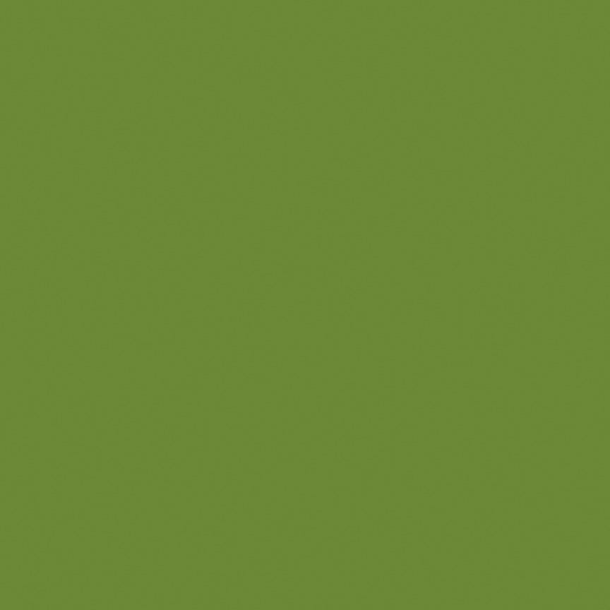 Confetti Cotton™ Olive Fabric by Riley Blake Designs C120-OLIVE