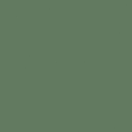 Confetti Cotton™ Chive Fabric by Riley Blake Designs C120-CHIVE
