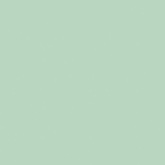 Confetti Cotton™ Sage Fabric by Riley Blake Designs C120-SAGE