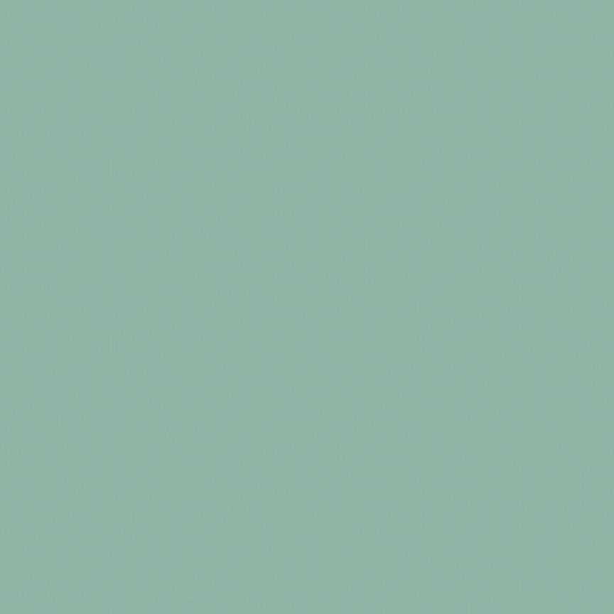 Confetti Cotton™ Pistachio Fabric by Riley Blake Designs  C120-PISTACHIO