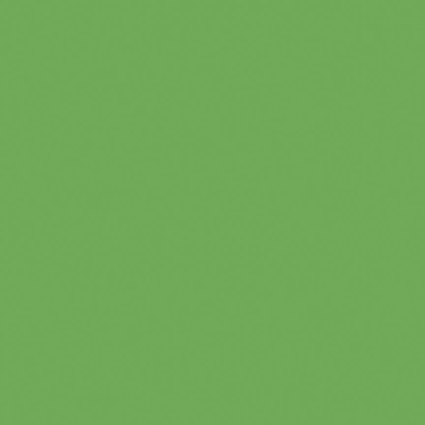Confetti Cotton™ Riley Green Fabric by Riley Blake Designs C120-RILEYGREEN