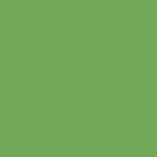 Confetti Cotton™ Riley Green Fabric by Riley Blake Designs C120-RILEYGREEN