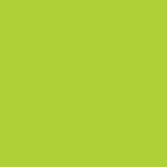 Confetti Cotton™ Riley Lime Fabric by Riley Blake Designs C120-RILEYLIME