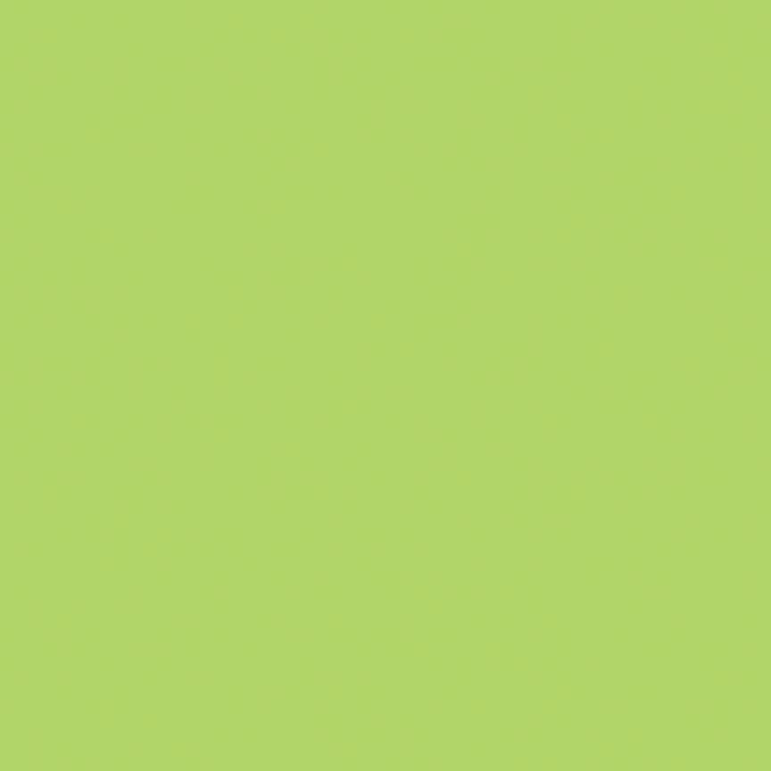 Confetti Cotton™ Wasabi Fabric by Riley Blake Designs C120-WASABI