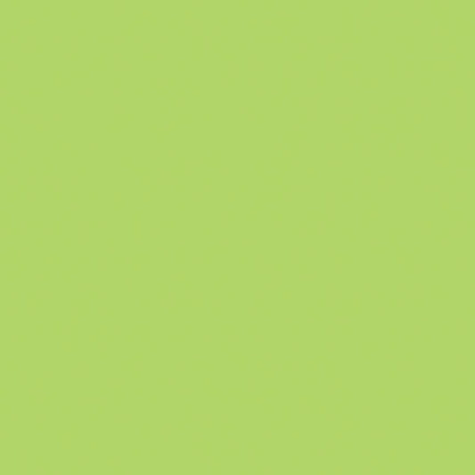 Confetti Cotton™ Wasabi Fabric by Riley Blake Designs C120-WASABI