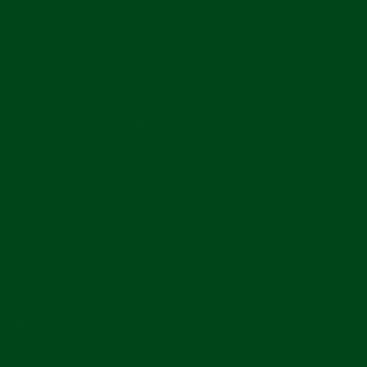 Confetti Cotton™ Christmas Green Fabric by Riley Blake Designs  C120-CHRISTMAS