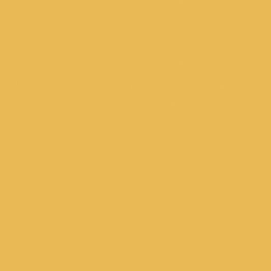 Confetti Cotton™ Honey Fabric by Riley Blake Designs C120-HONEY