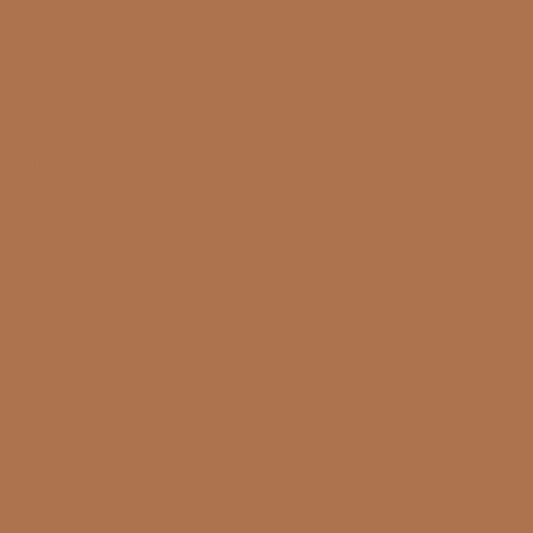Confetti Cotton™ Cinnamon Fabric by Riley Blake Designs C120-CINNAMON