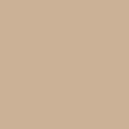 Confetti Cotton™ Cappuccino Fabric by Riley Blake Designs C120-CAPPUCCINO