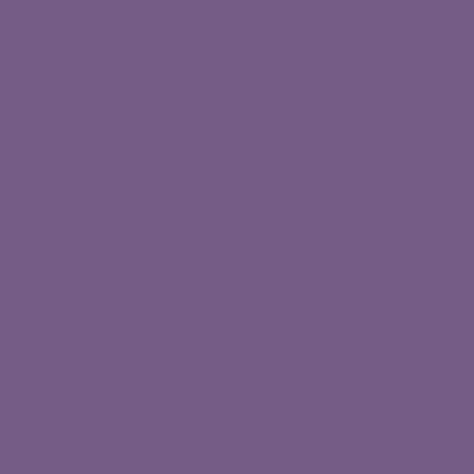 Confetti Cotton™ Plum Fabric by Riley Blake Designs C120-PLUM