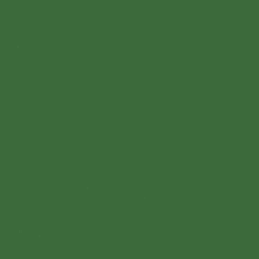 Confetti Cotton™ Pickle Fabric by Riley Blake Designs C120-PICKLE