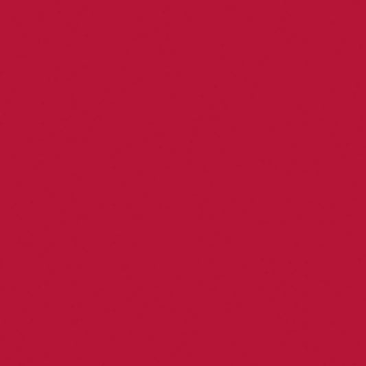 Confetti Cotton™ Redwood Fabric by Riley Blake Designs C120-REDWOOD