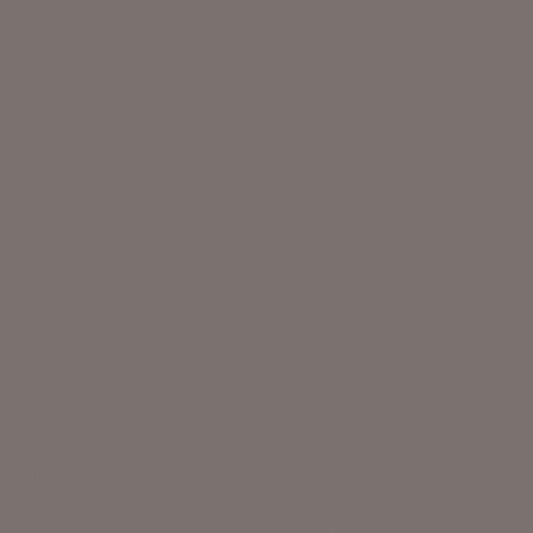 Confetti Cotton™ Rustic Fabric by Riley Blake Designs C120-RUSTIC