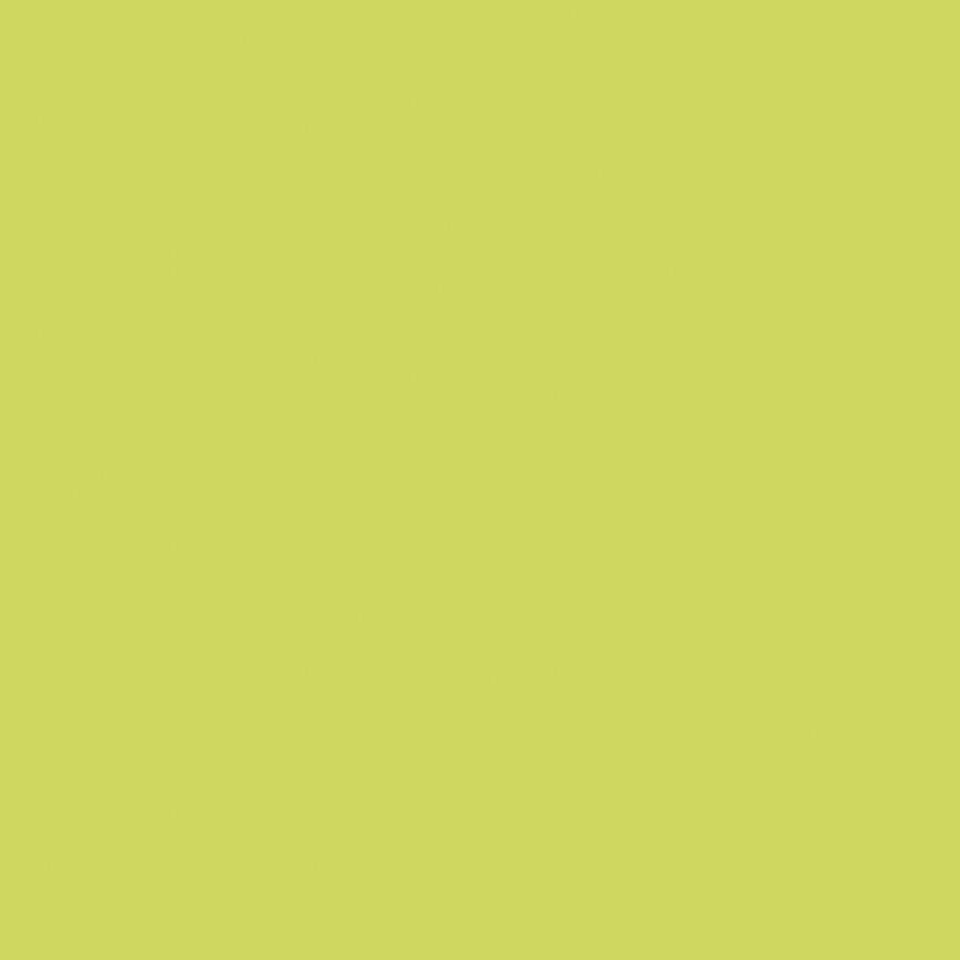 Confetti Cotton™ Kiwi Fabric by Riley Blake Designs  C120-KIWI