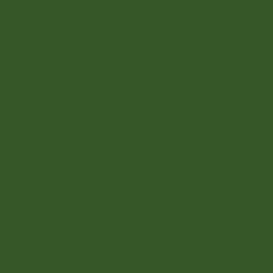 Confetti Cotton™ Hunter by Riley Blake Designs C120-HUNTER