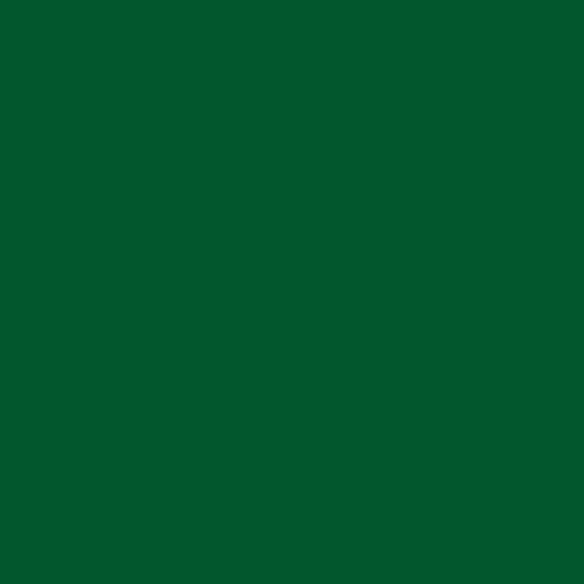 Confetti Cotton™ Forest by Riley Blake Designs C120-FOREST