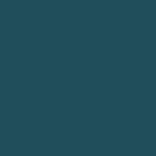 Confetti Cotton™ Colonial by Riley Blake Designs C120-COLONIAL