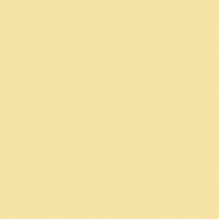 Confetti Cotton™ Sunshine by Riley Blake Designs C120-SUNSHINE