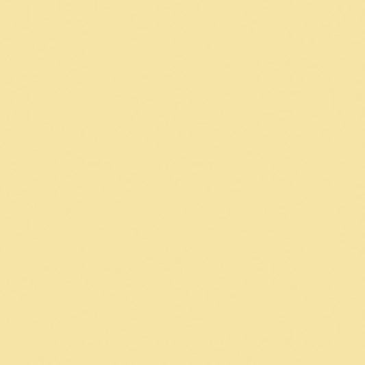 Confetti Cotton™ Sunshine by Riley Blake Designs C120-SUNSHINE