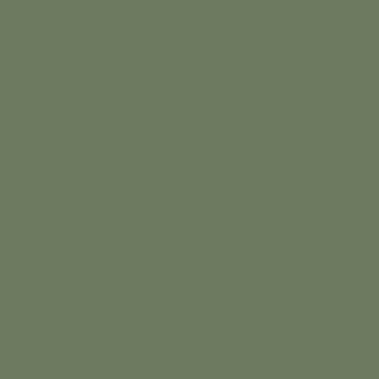 Confetti Cotton™ Rosemary Fabric by Riley Blake Designs  C120-ROSEMARY