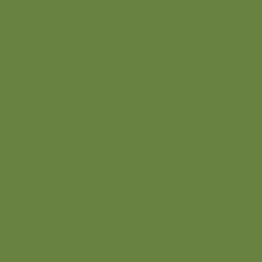 Confetti Cotton™ Basil Fabric by Riley Blake Designs  C120-BASIL