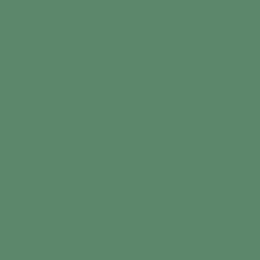 Confetti Cotton™ Lodgepole by Riley Blake Designs C120-LODGEPOLE